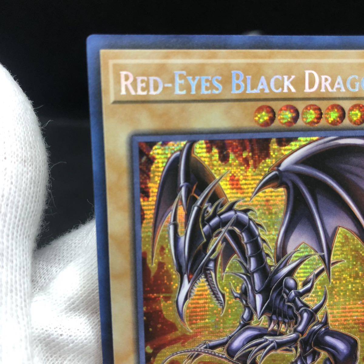 未使用品】遊戯王 英語版 真紅眼の黒竜 レッドアイズブラック 未使用品】遊戯王 英語版 真紅眼の黒竜 レッドアイズブラック