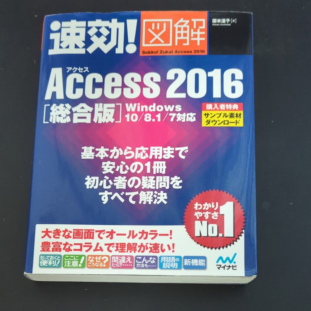 速効！図解Ａｃｃｅｓｓ　２０１６　総合版 （速効！図解） 国本温子／著