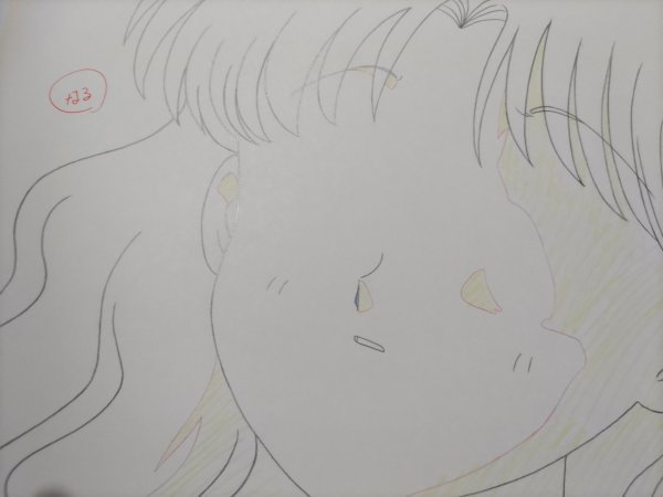 セーラームーンセル画B1なるちゃん、背景。動画付き さ行 セーラームーンセル画B1なるちゃん、背景。動画付き さ行
