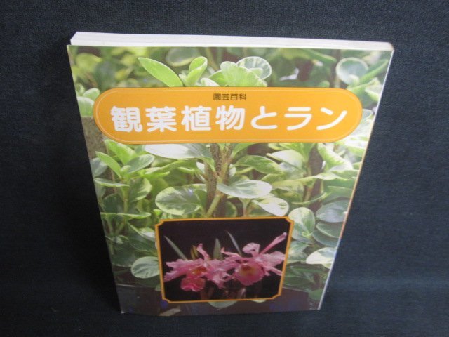 園芸百科　観葉植物とラン　シミ日焼け強/ODC_画像1