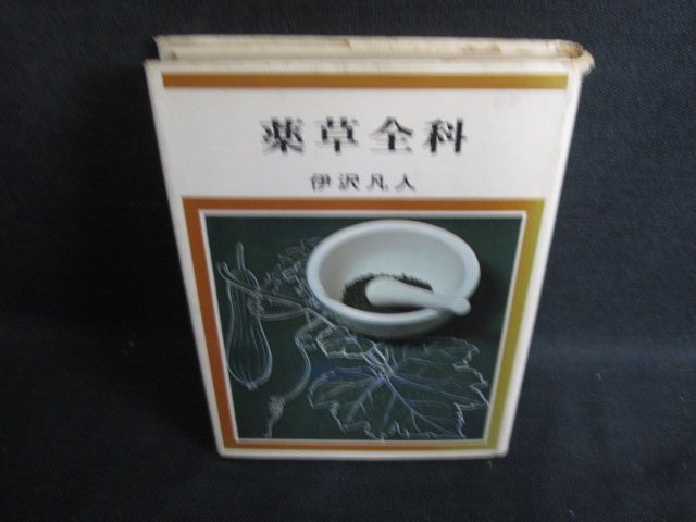 薬草全科　伊沢凡人　カバー破れ有・シミ大・日焼け強/OEZB_画像1