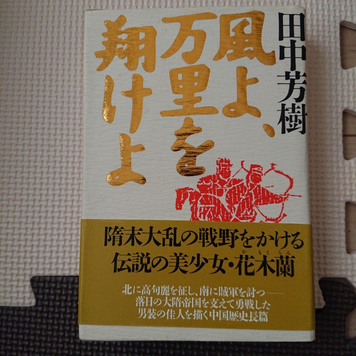  風よ、万里を翔けよ 田中芳樹／著