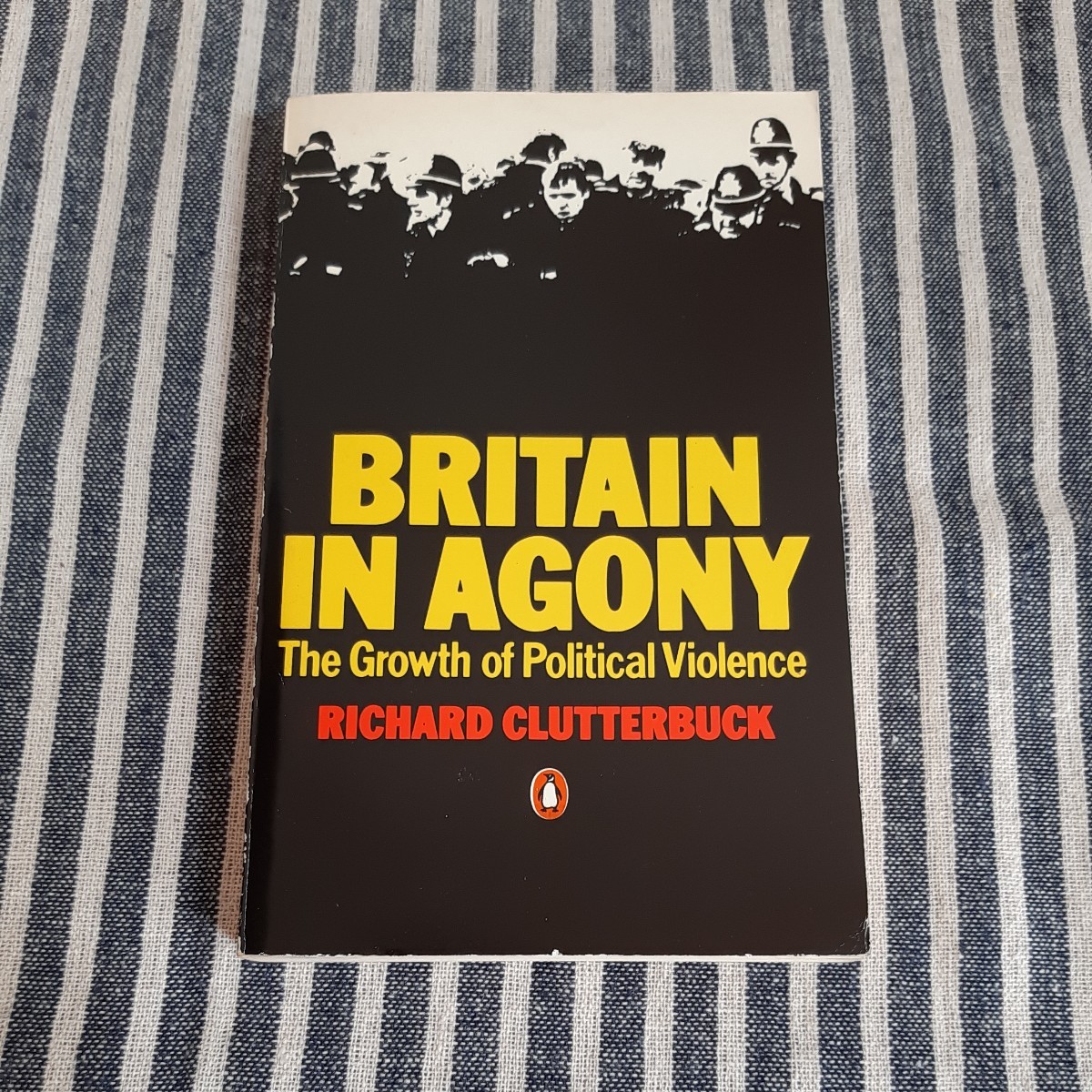D8☆洋書☆RICHARD CLUTTERBUCK☆BRITAIN IN AGONY☆_画像1
