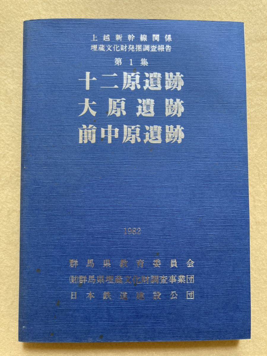 A6☆十二原遺跡 大原遺跡 前中原遺跡 上越新幹線関係埋蔵文化財発掘調査報告第1集 1982年☆_画像1