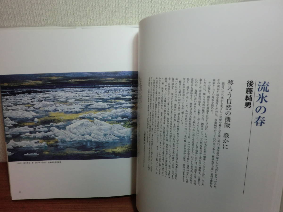 200316⑤★ky 希少本 画集 北海道 海のある風景 2003年 北海道新聞社 北海道の画家 オホーツク海 日本海 太平洋 津軽海峡 宗谷岬 恵山岬_画像9