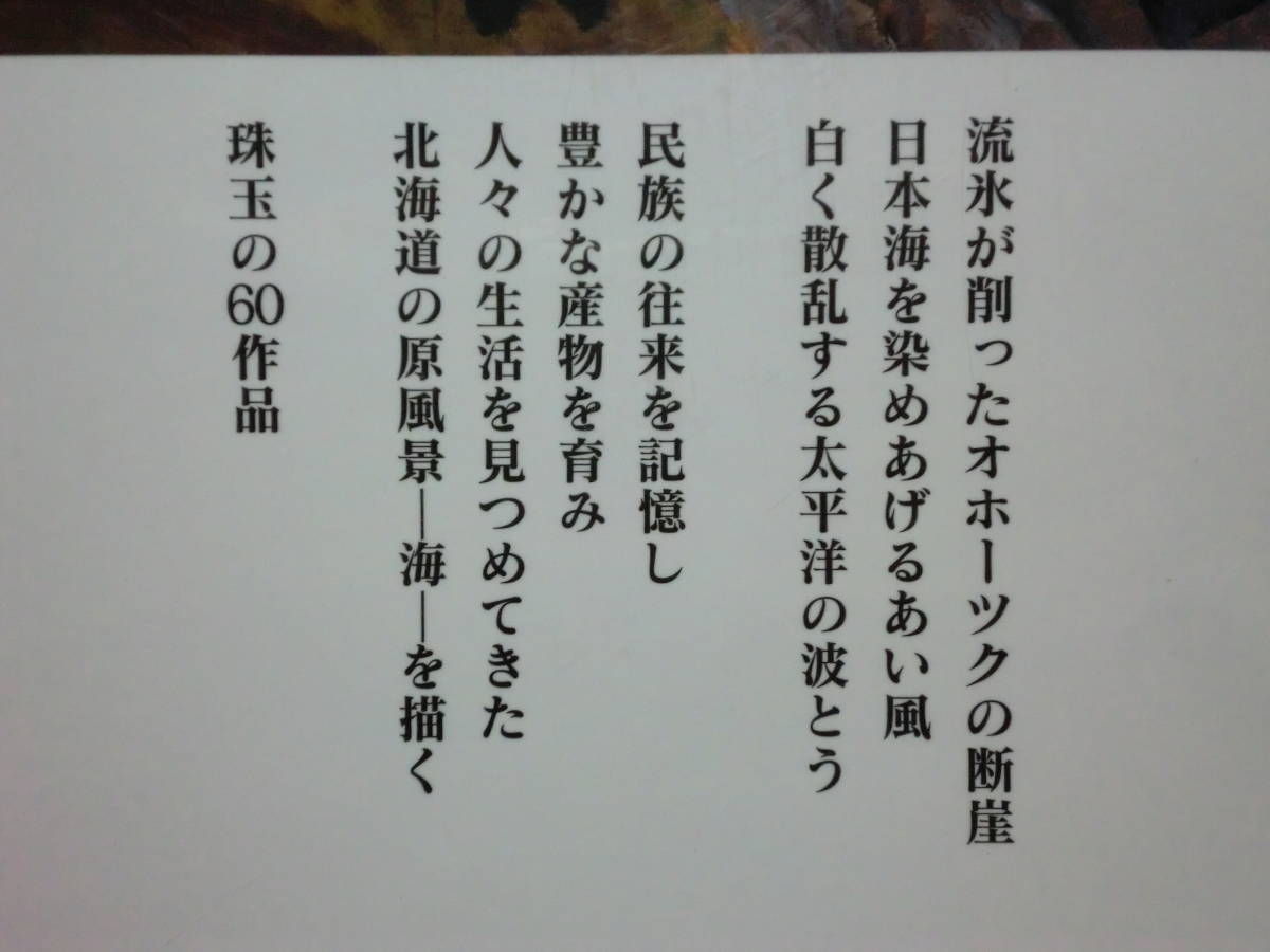 200316⑤★ky 希少本 画集 北海道 海のある風景 2003年 北海道新聞社 北海道の画家 オホーツク海 日本海 太平洋 津軽海峡 宗谷岬 恵山岬_画像2