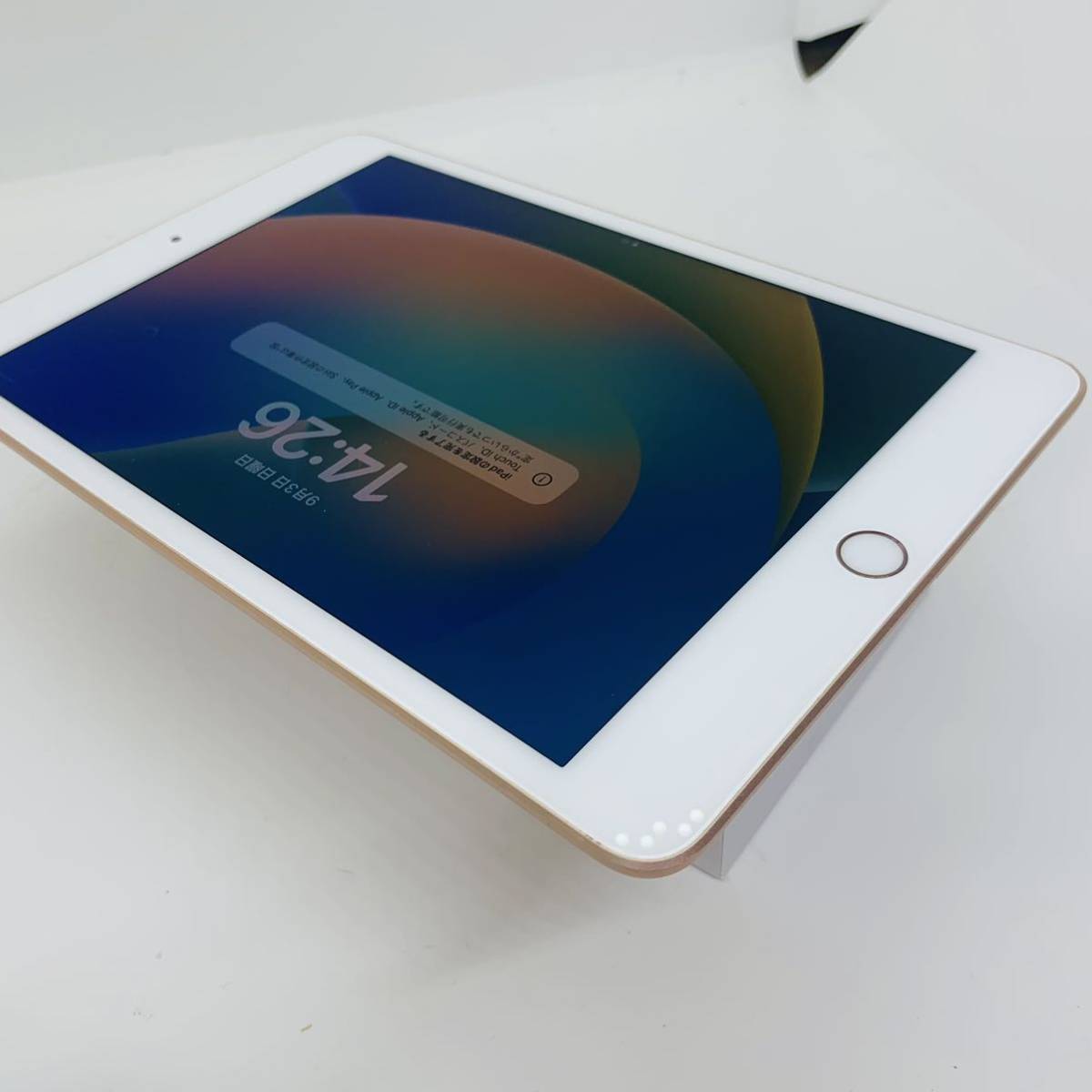 iPad mini 第5世代 Wi-Fiモデル 64GB-