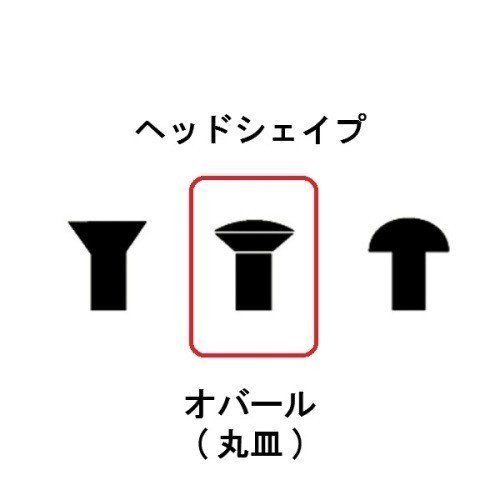 YJB PARTS #24040 インチ規格 Gタイプピックガード用ねじ（ニッケル）12本入り (メール便対応)_画像3