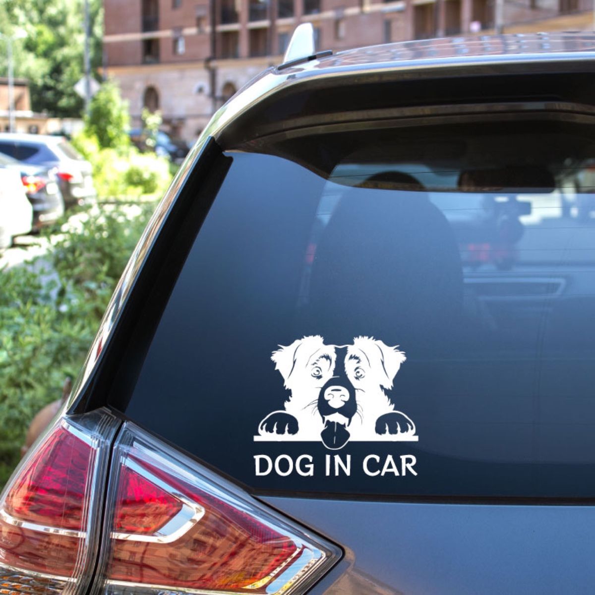 カッティングステッカー DOG IN CAR ボーダーコリー 白