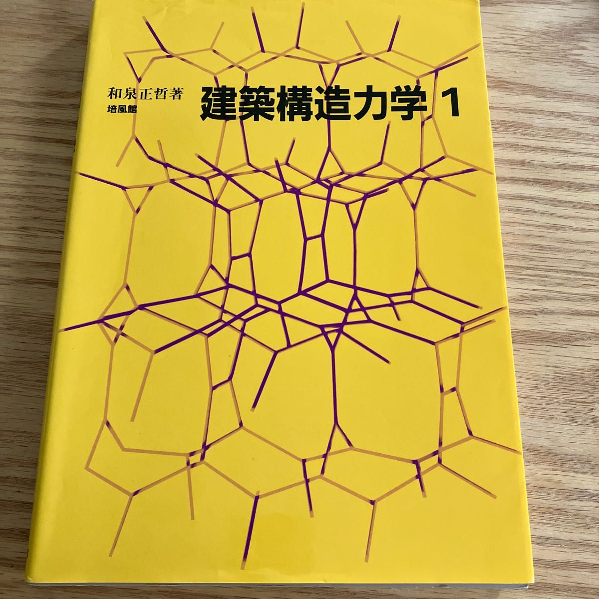 建築構造力学　１ 和泉正哲／著