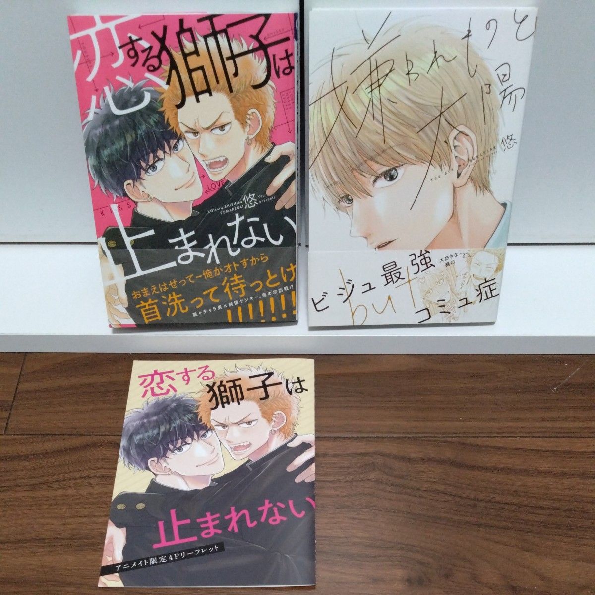 BLコミック 恋する獅子は止まれない アニメイト限定リーフレット付き/嫌われものと太陽/悠