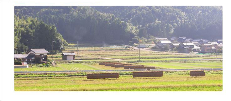  have machine fertilizer less pesticide cultivation rice * adventure rice Koshihikari 5kg entering 2023 year production new rice arrival 