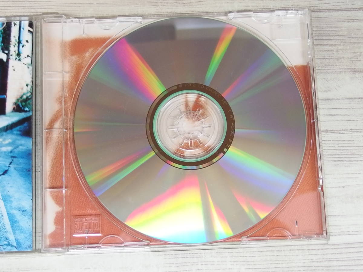 CD / Tundra / Sara Davis /『D8』/ 中古_画像5