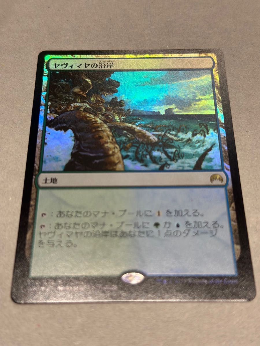 MTG ヤヴィマヤの沿岸　FOIL 日本語版