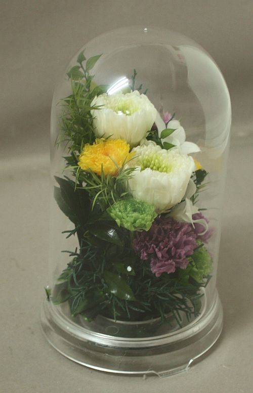  консервированный цветок * купол ввод . цветок организовать ( дендробиум )