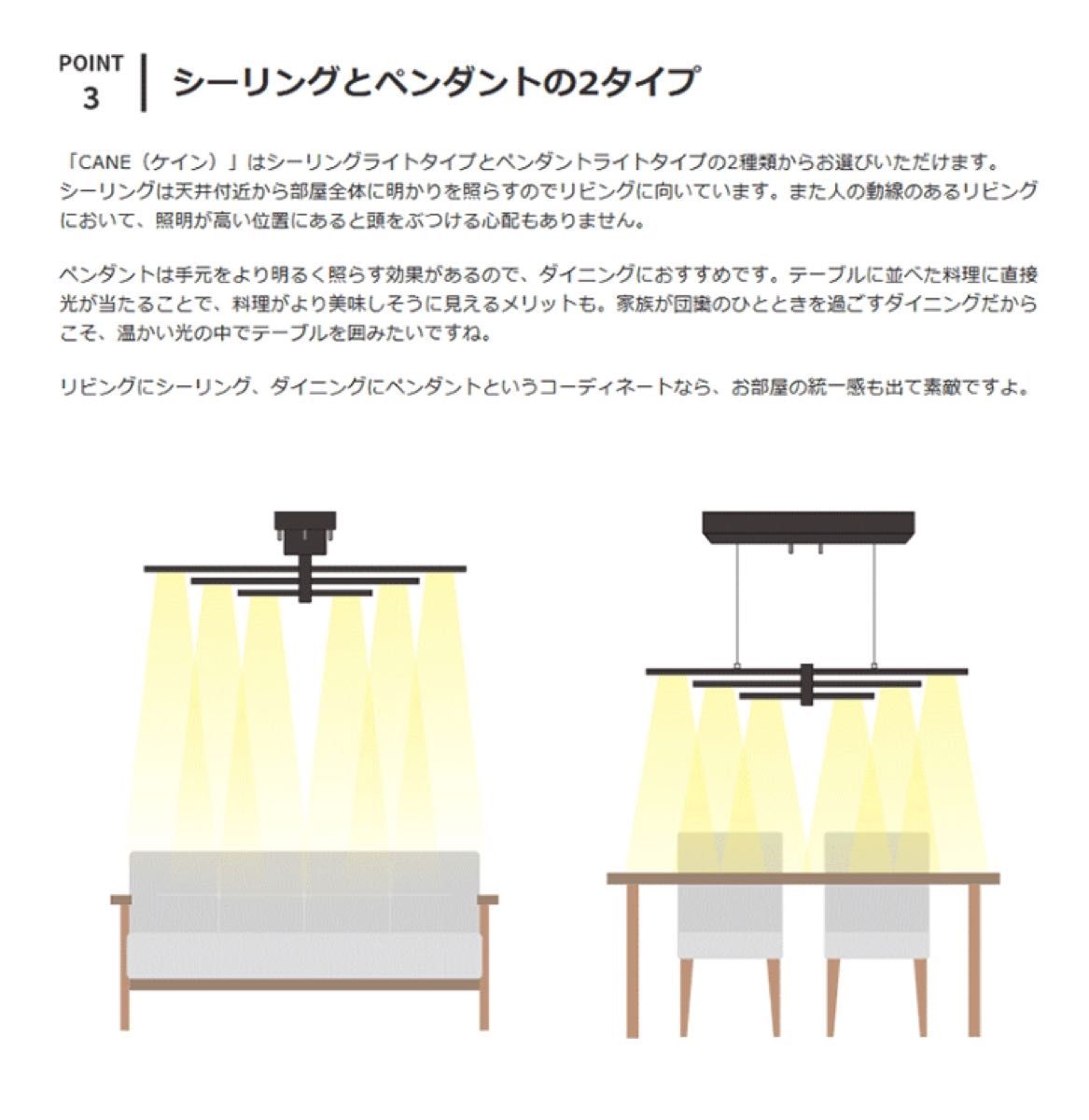 黒 LEDペンダントライト シーリングライト ケイン CANE 天井照明 照明器具 北欧 デザイン シンプル モダン LEDライト