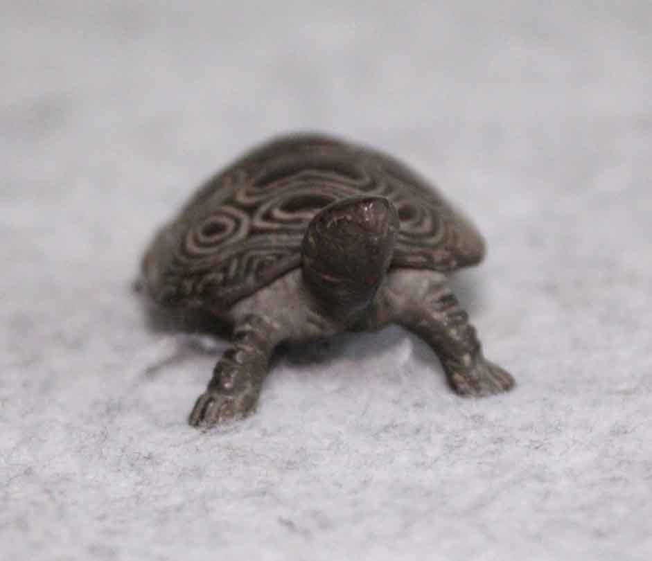 金属工芸●●亀 置物 ブロンズ 7cm●●銅製 古銅 bronze turtle カメ ペーパーウエイト の画像6