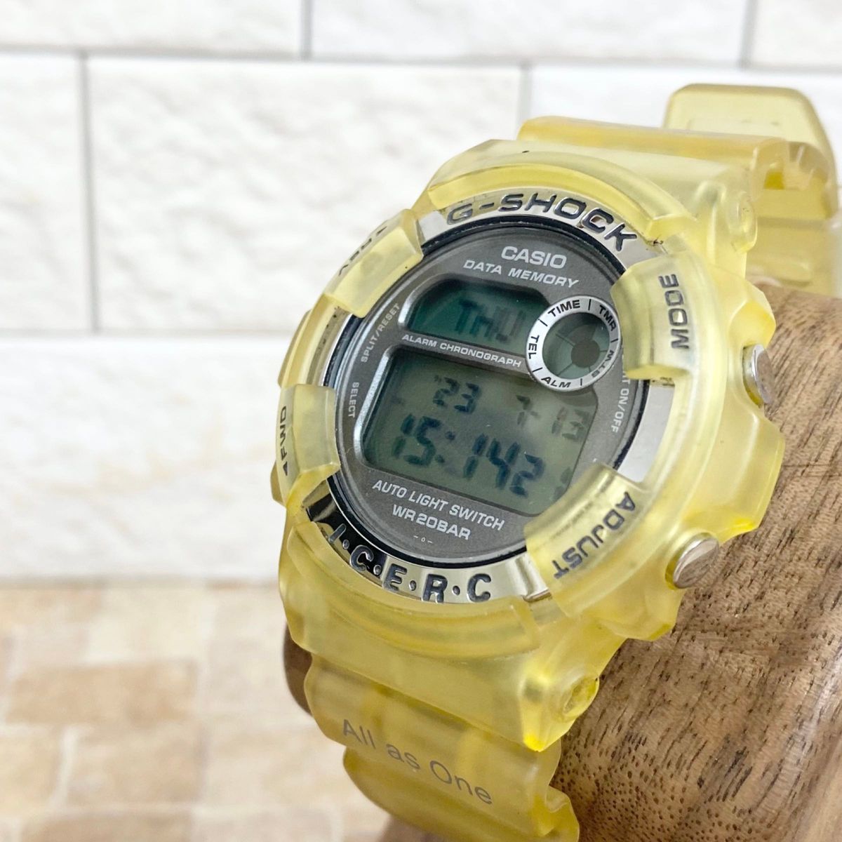 G-SHOCK 1845 DW-9200K 第7回国際イルカ・クジラ会議 イルクジ CASIO 