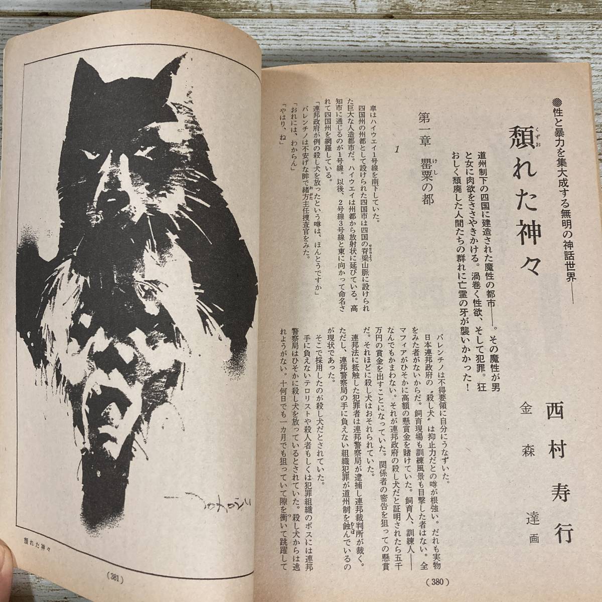 Lg0008 ■ 問題小説 1988年8月 創刊250号記念［第一級作品］特集号 ■ 西村寿行/笹沢佐保/清水一行/保坂正康 ＊レトロ＊ジャンク＊同梱不可_画像10