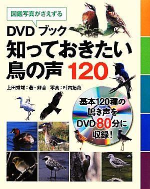 ＤＶＤブック　知っておきたい鳥の声１２０／上田秀雄【著・録音】，叶内拓哉【写真】_画像1