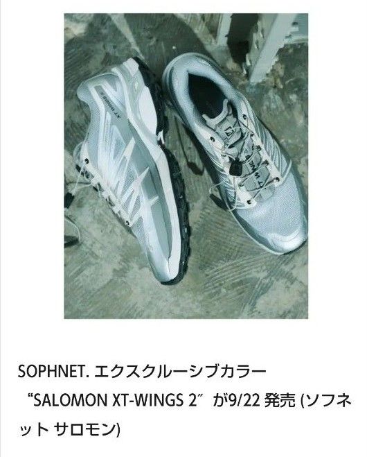 値下げ！SALOMON XT-WINGS 2 SOPHNET ソフ エクスクルーシブ 限定色 サロモン シルバー