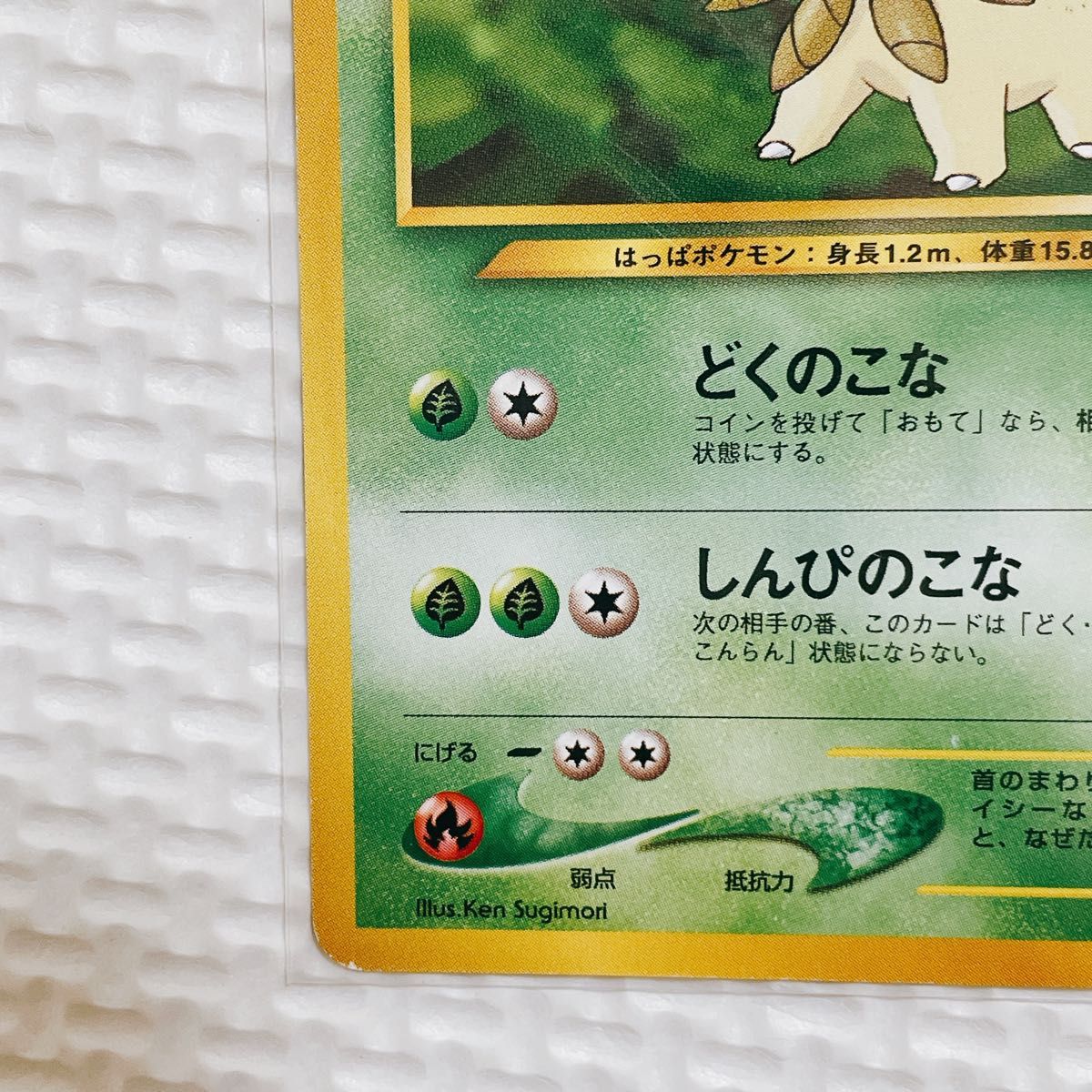 【旧裏】ベイリーフ　ポケカ　ポケモンカード　希少　旧裏面　トレカ　 旧裏面