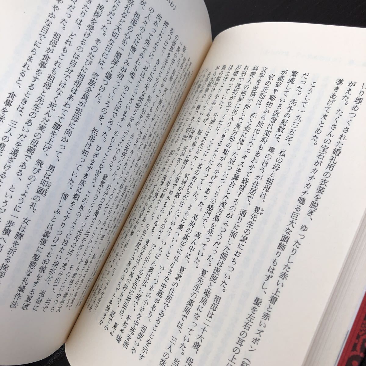 ラ33 鴻 ワイルドスワン 講談社 ユンチアン 土屋京子　中国 小説 _画像5