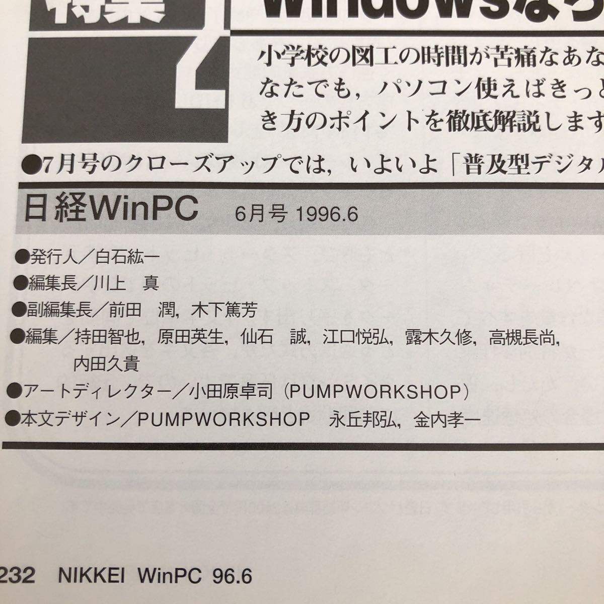 リ72 日経WinPC 1996年6月 ウインピーシー パソコン活用誌 Windows インターネット アダプター 資料 機能 ソフト 使い方 電子 ゲーム_画像8