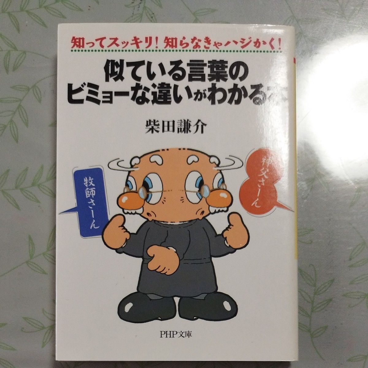 似ている言葉のビミョーな違いがわかる本　知ってスッキリ！知らなきゃハジかく！ （ＰＨＰ文庫　し４１－１） 柴田謙介／著