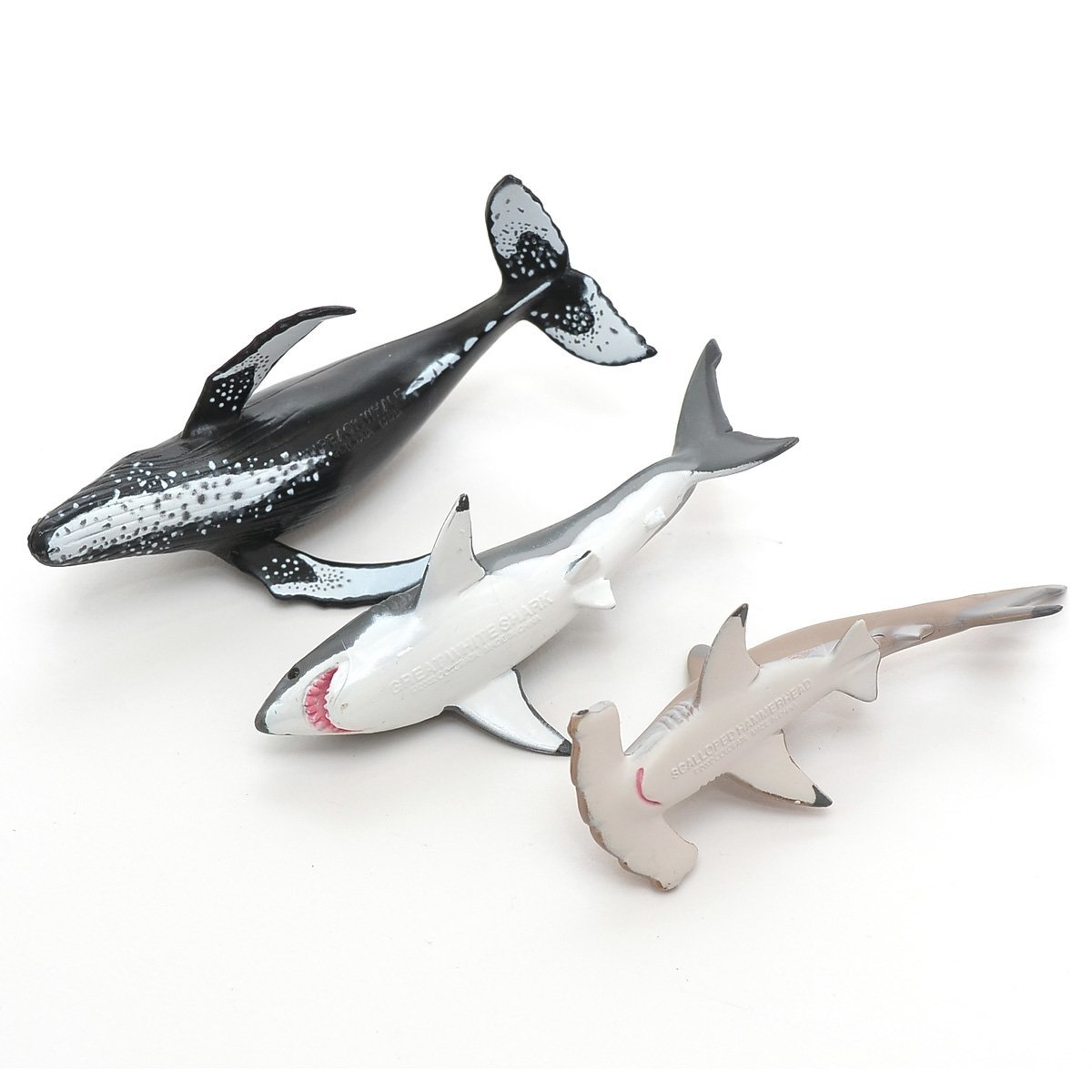 ★455959 カロラータ 立体図鑑 サメ シャチ イルカ など12種24個セット COLORATA フィギュア_画像7