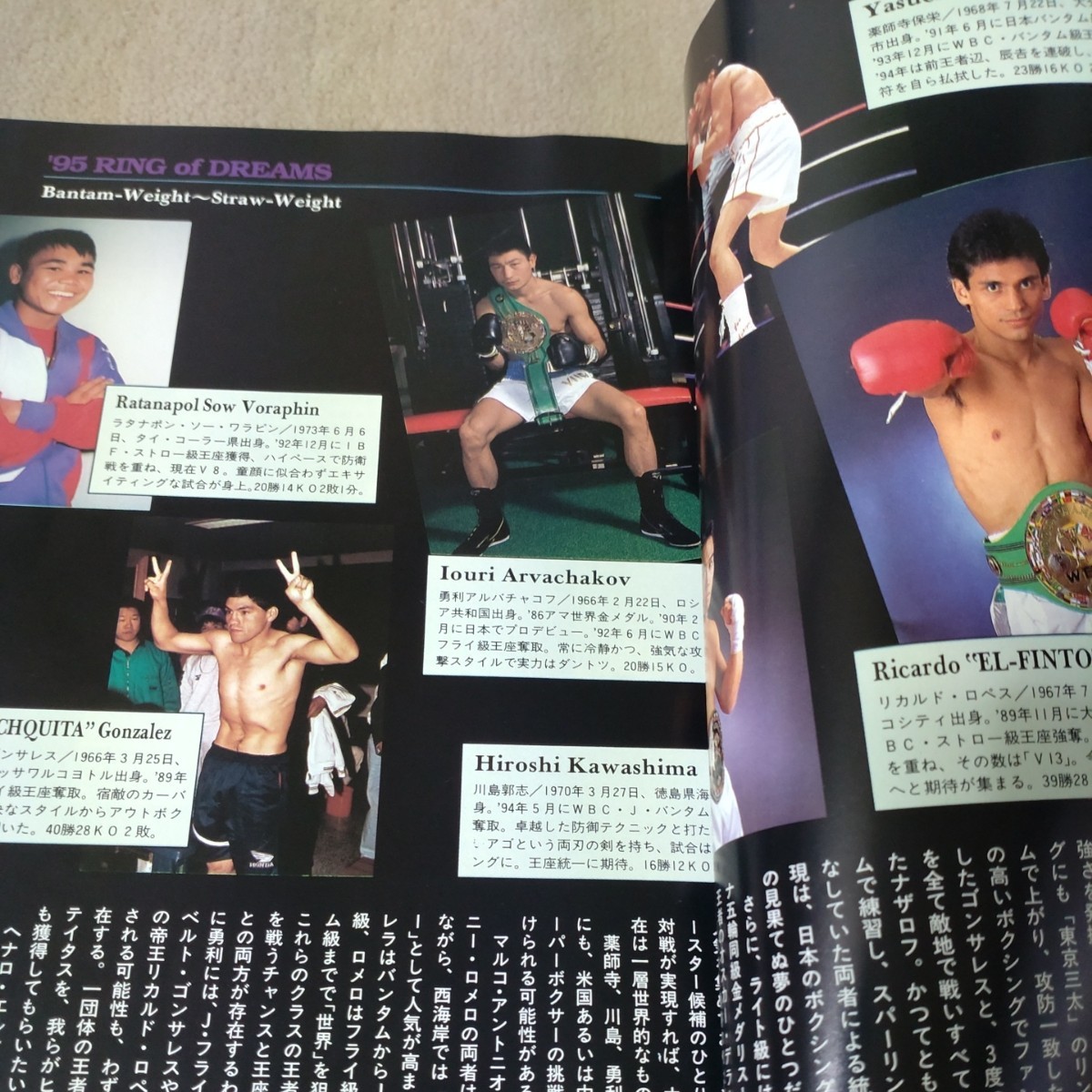 95 ボクシング観戦パーフェクトガイド ワールドボクシング増刊 1995年3