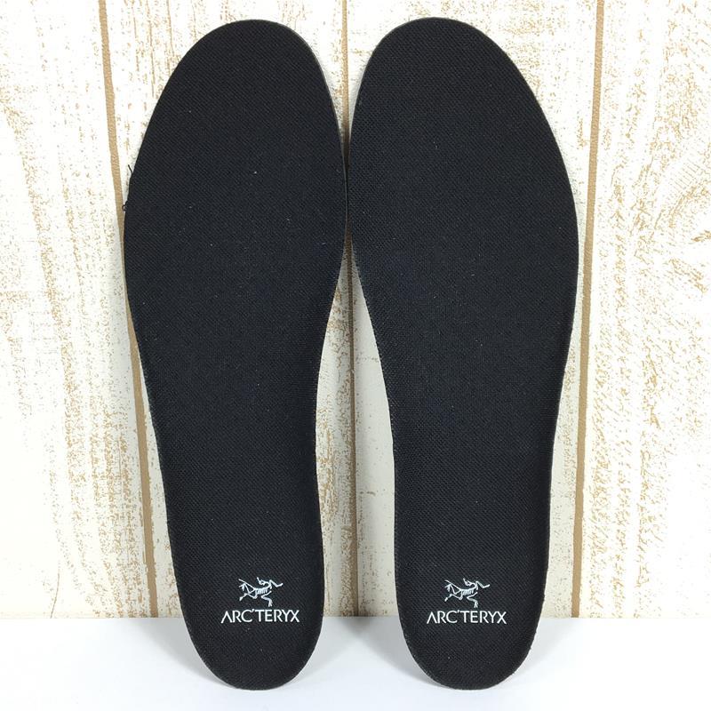 MENs 27.0cm アークテリクス アクルックス LT ゴアテックス Acrux LT GTX アルパインブーツ アクラクス アクルクス ARC