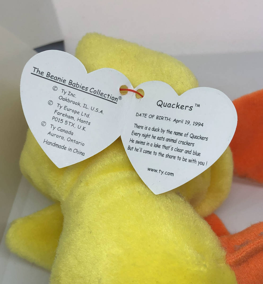 TY ビニーーベイビーズあひる！BEANIE BABIES Quackers君 タグケース付！眉毛がある可愛いあひる！_画像6