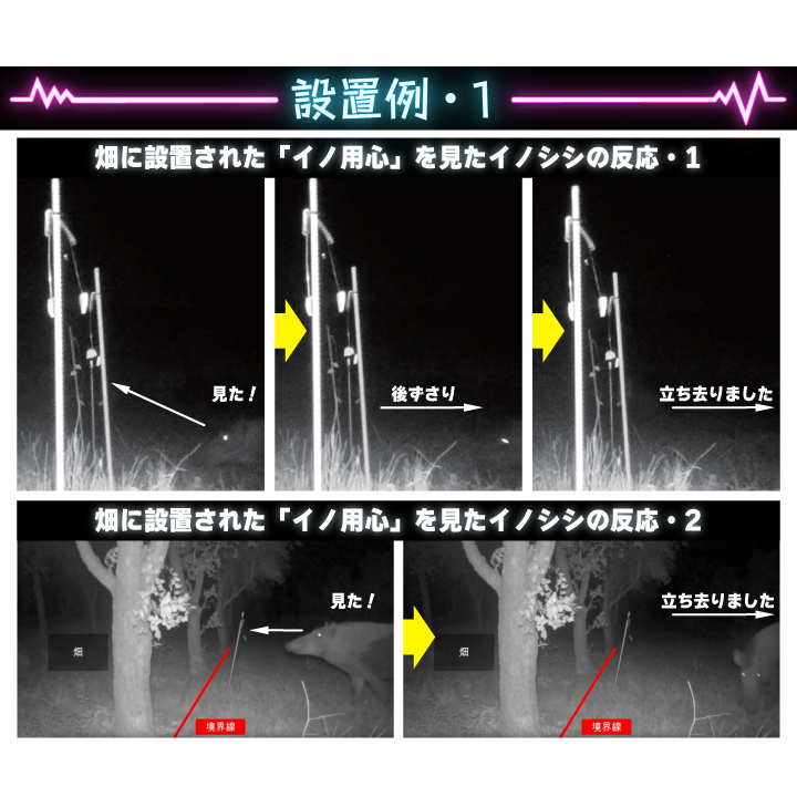 イノ用心 10本セット いのしし除け イノシシ撃退 イノシシ対策 猪 電気柵 迷惑動物 駆除 退治 忌避剤 挿すだけ_画像5