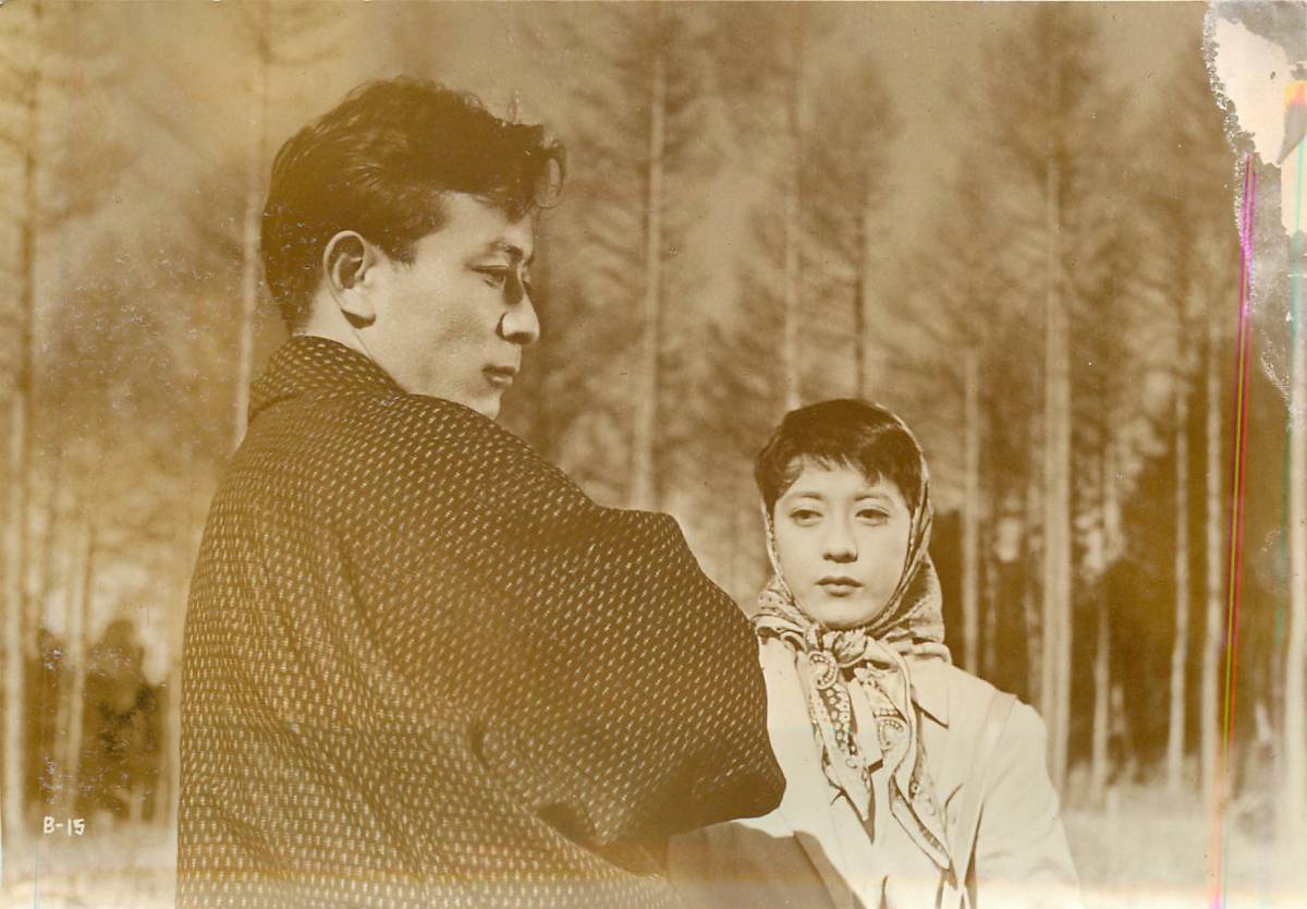 ヤフオク P 無敵社員 スチル 高倉健 山本麟一 浦里 ヤフオク P 無敵社員 スチル 高倉健 山本麟一 浦里