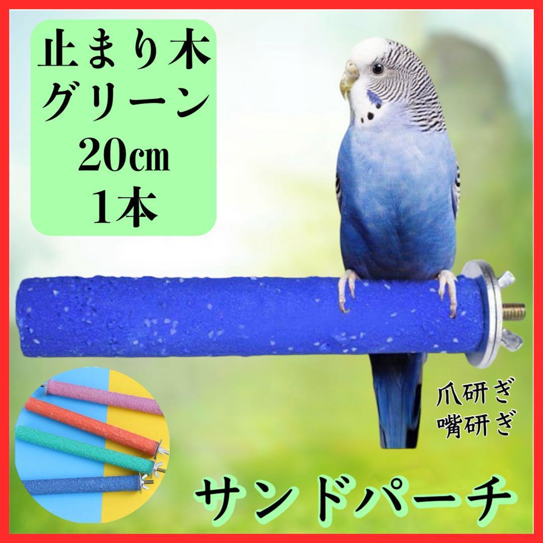 鳥インコ止まり木 流木バードアスレチックタワー型 大サイズバードジム