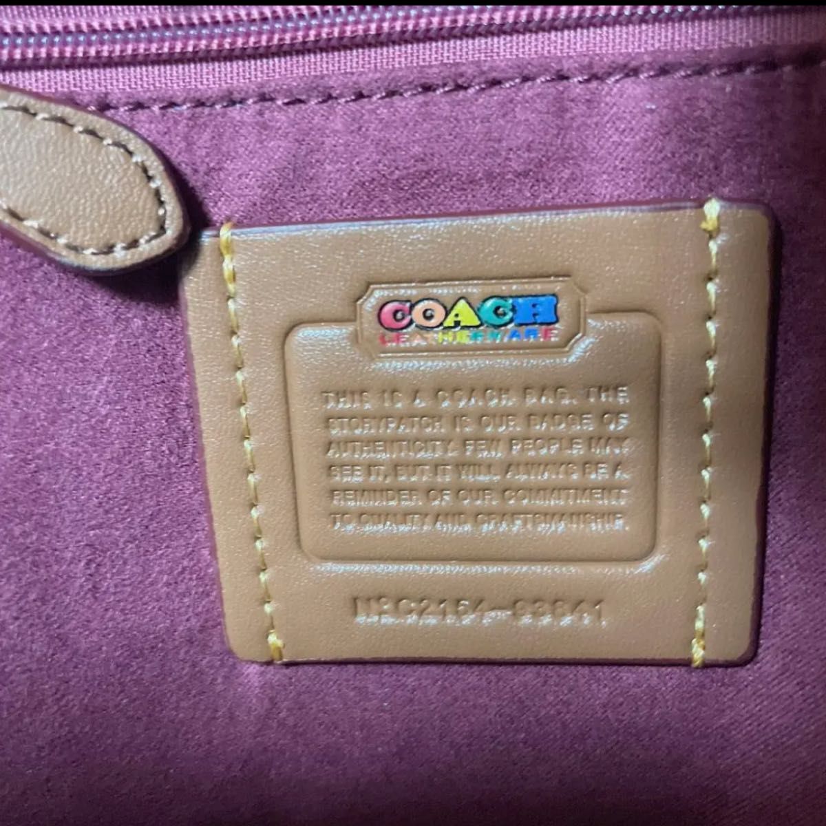 【24時間以内発送】COACH コーチ ミニリュック ブラウン レインボー バックパック