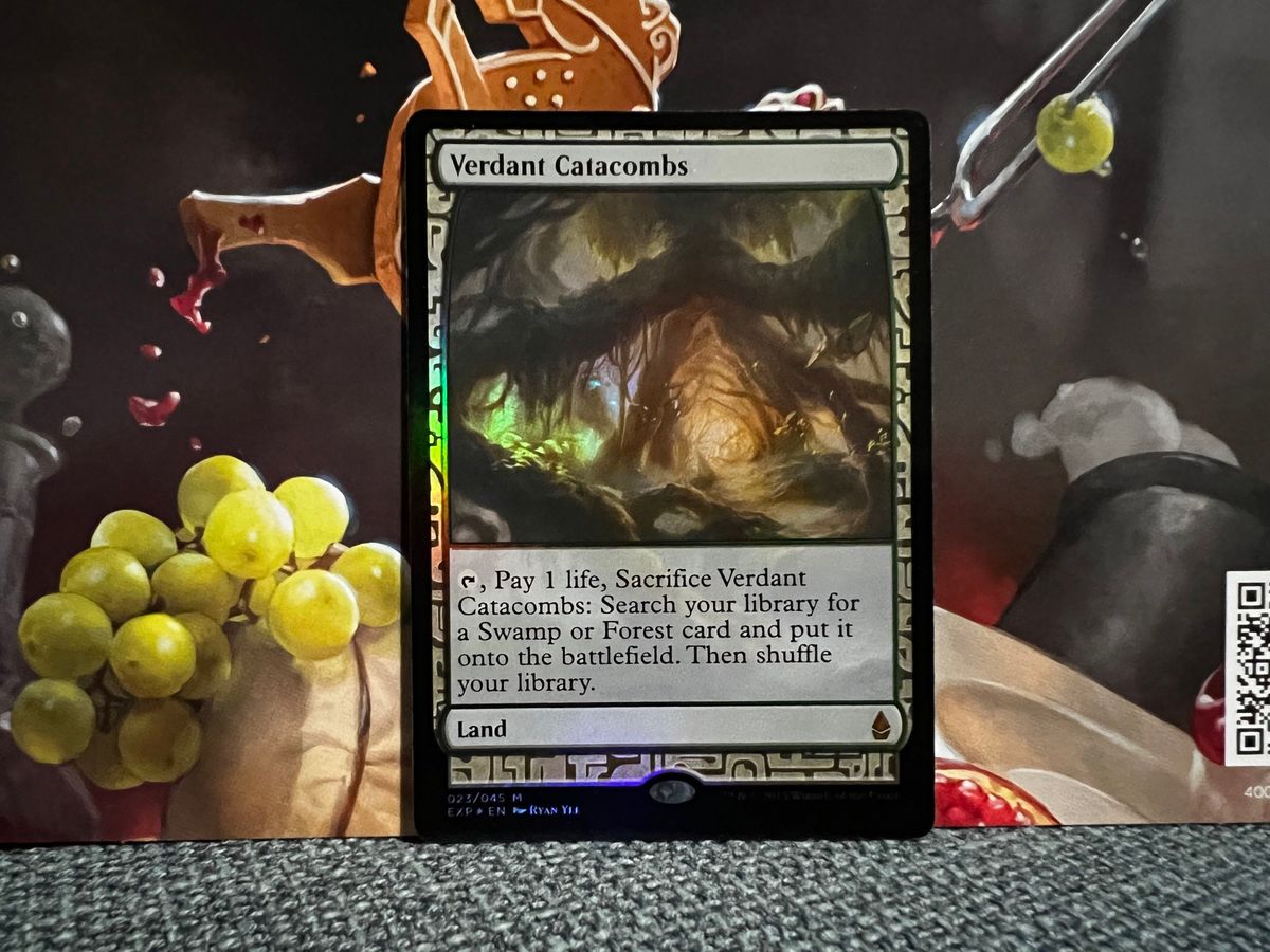 MTG 新緑の地下墓地　Verdant Catacombs  foil