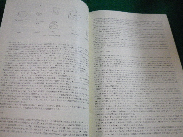 ■芳賀団地遺跡群 第3巻 　前橋市教育委員会■FAIM2023090104■_画像3