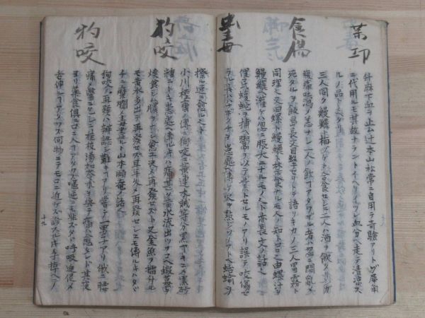 U73★ 古書 和本 時還読我書 乾坤 多紀元堅 写本 江戸時代の医学書 漢方医学 古典籍 221125_画像9