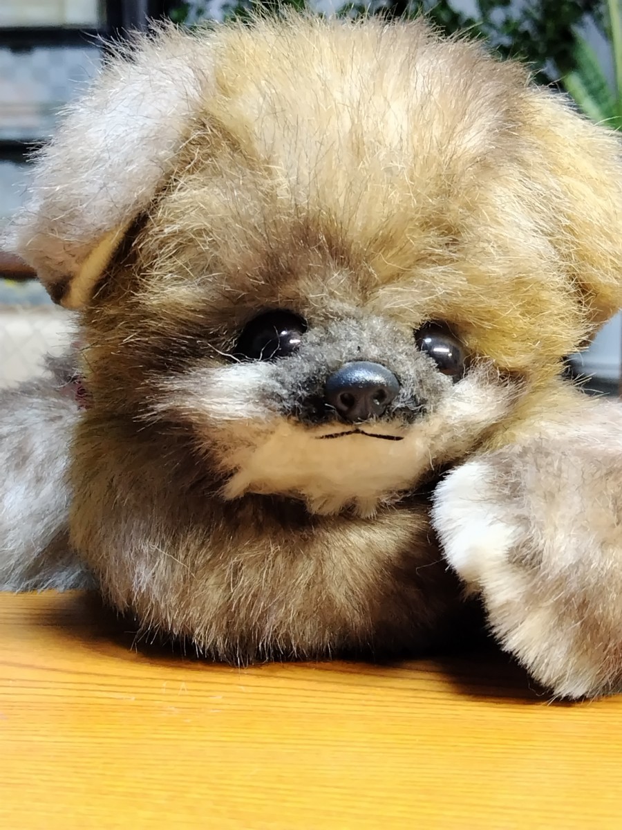 A837 secondhand goods FINE Success. virtue dog. soft toy soft toy retro collection 