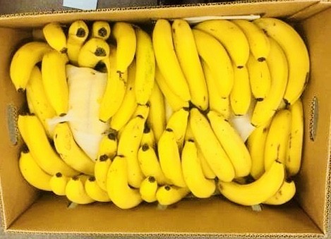 15kg 】フィリピン産　高地栽培バナナ　B品　大箱 バナナーつ！ 約80本くらい！_約80本くらい！