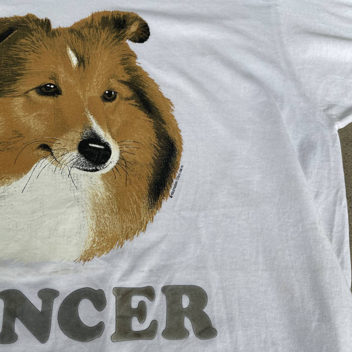 ビンテージ　90s　フルーツオブザルーム　プリント　Tシャツ　USA製　動物　犬　ラフコリー　PRANCER　230908_画像2