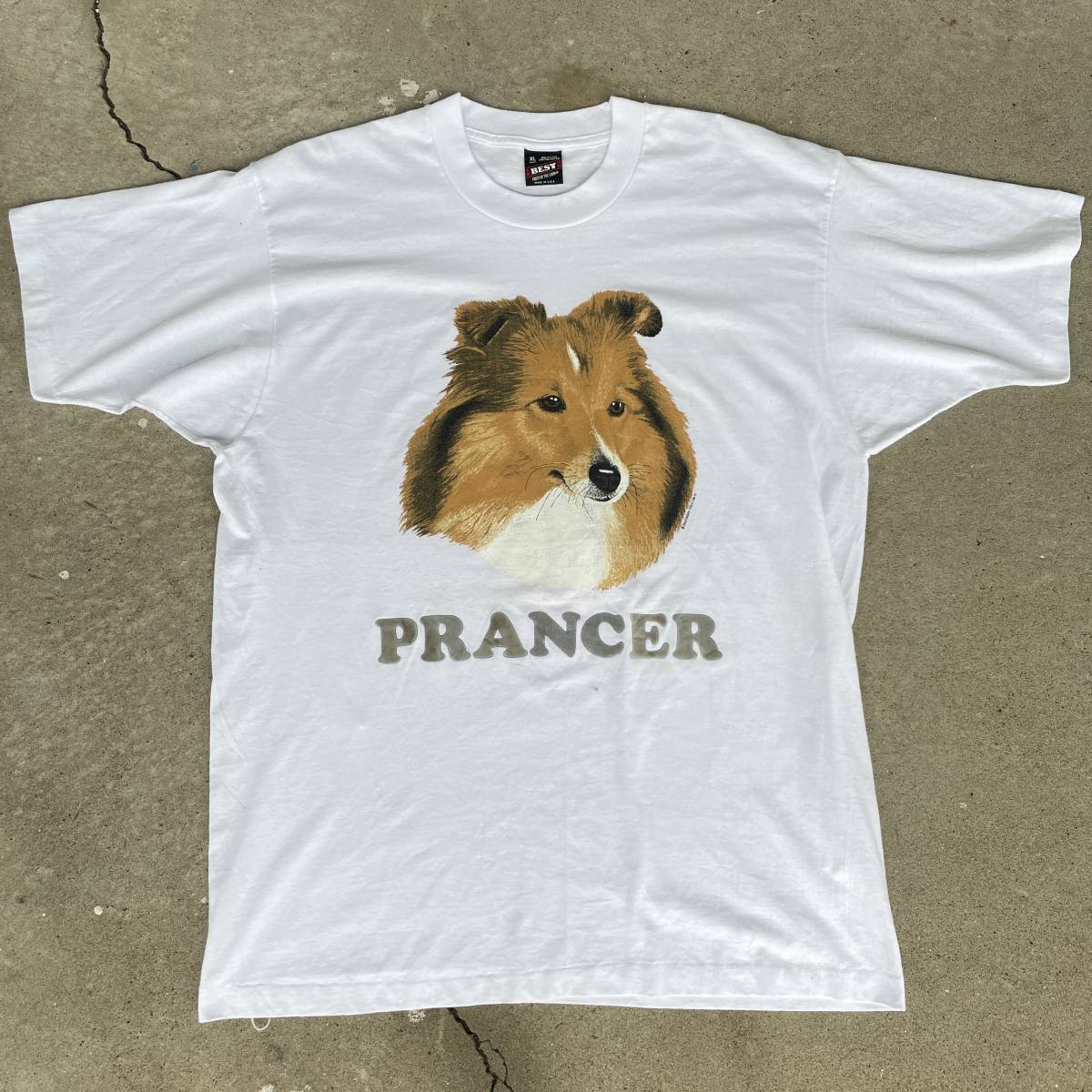 ビンテージ　90s　フルーツオブザルーム　プリント　Tシャツ　USA製　動物　犬　ラフコリー　PRANCER　230908_画像1