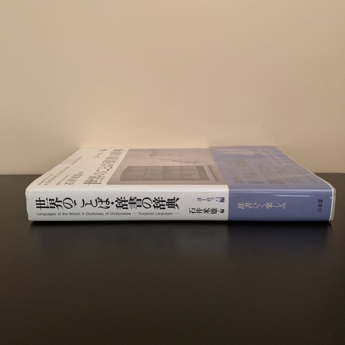 世界のことば・辞書の辞典　ヨーロッパ編　石井米雄／編