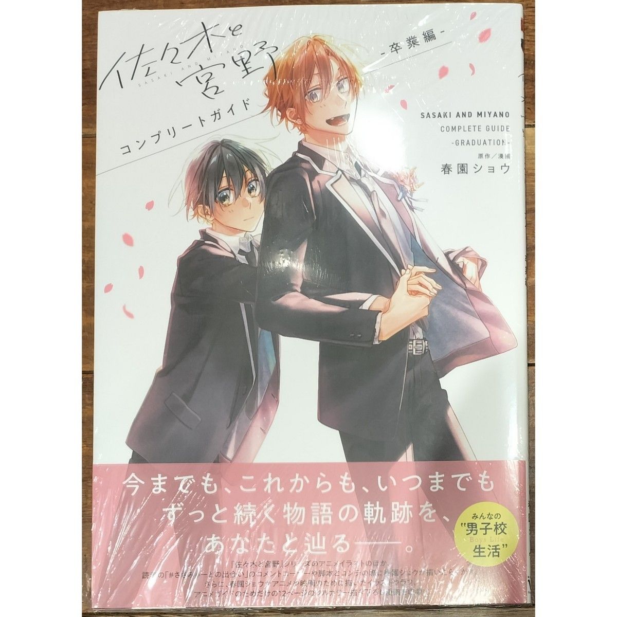 佐々木と宮野 コンプリートガイド 卒業編 春園ショウ⑧