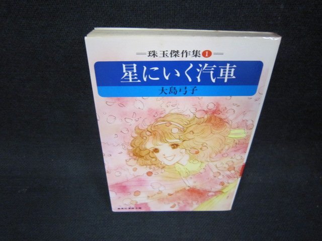 星にいく汽車　大島弓子　集英社漫画文庫　日焼け強シミ有/OCQ_画像1