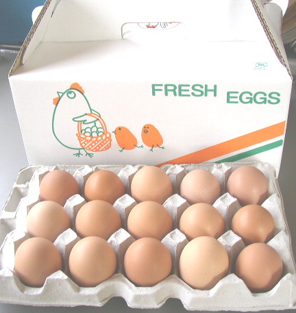 *! fresh red egg yolk .. power 155 piece +5 piece ( damage for ) 4150 jpy!*