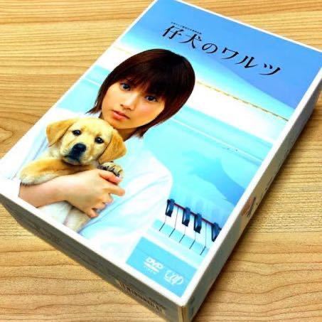 大好き 仔犬のワルツ DVD-BOX〈4枚組〉 日本 - fishtowndistrict.com