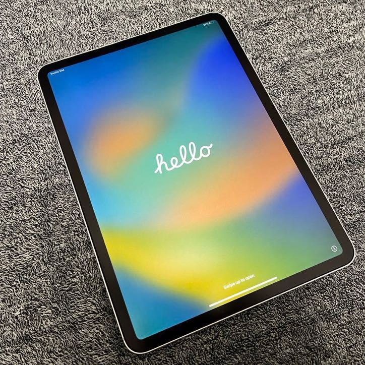 Apple iPad Pro 11 512GB SIMフリー 第１世代 Wi-Fi + Cellular 11